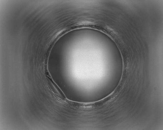 X0000054411313200508192021