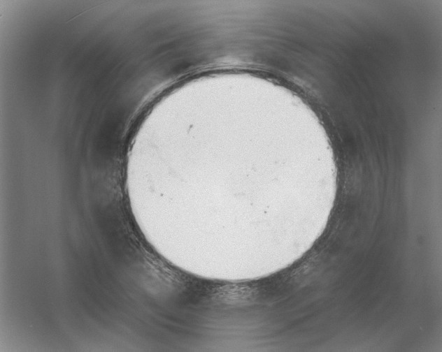 X0000054411314200508192021
