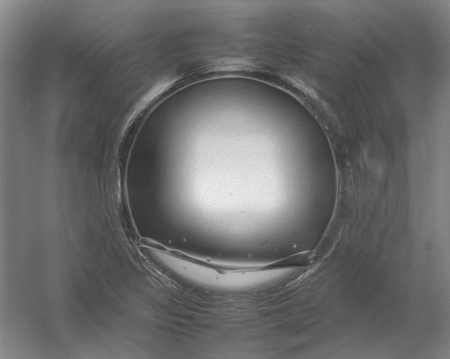 X0000054411317200508192021