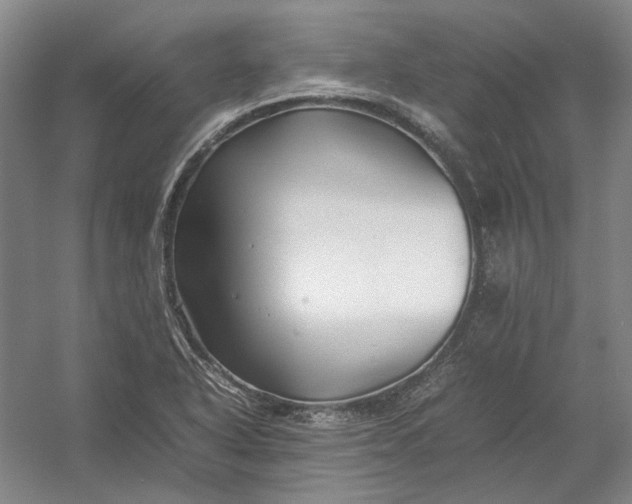 X0000054411318200508192021