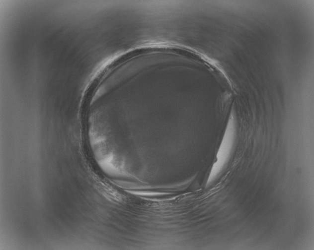 X0000054411319200508192021