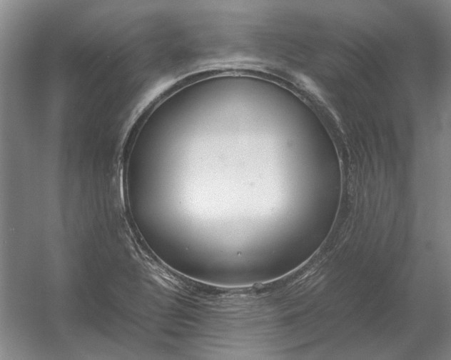 X0000054411320200508192021
