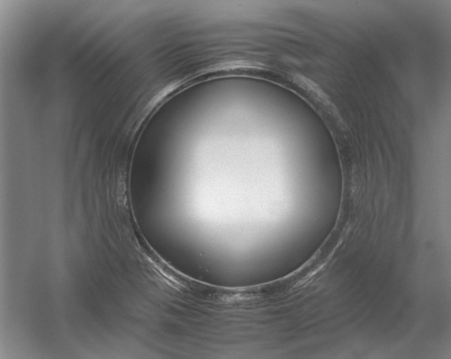 X0000054411321200508192021