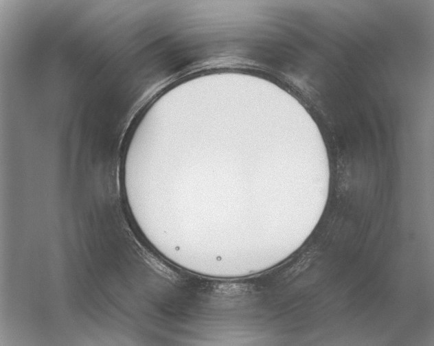 X0000054411322200508192021