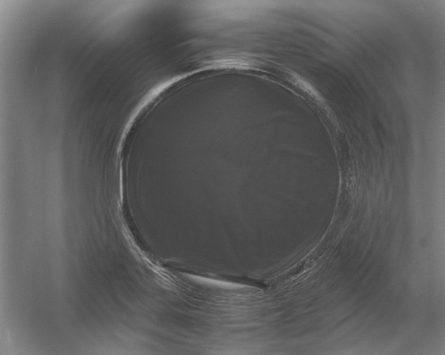 X0000054411323200508192021