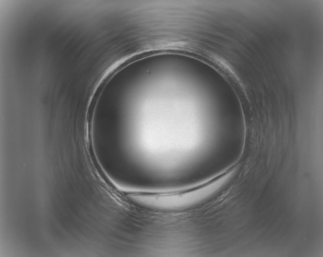 X0000054411324200508192021