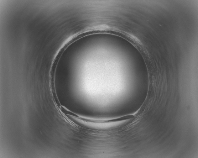 X0000054411326200508192021