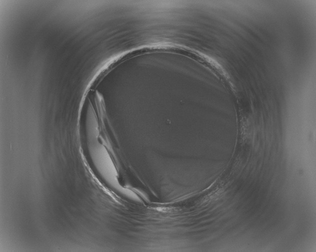 X0000054411327200508192021