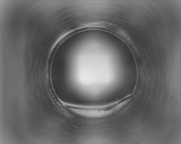 X0000054411328200508192021