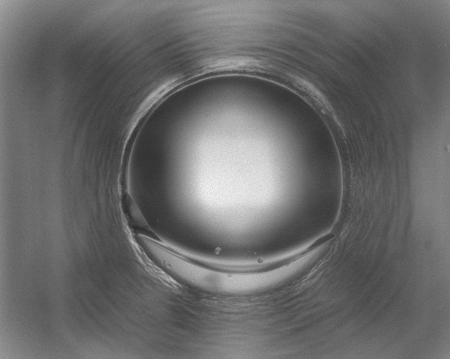 X0000054411330200508192021