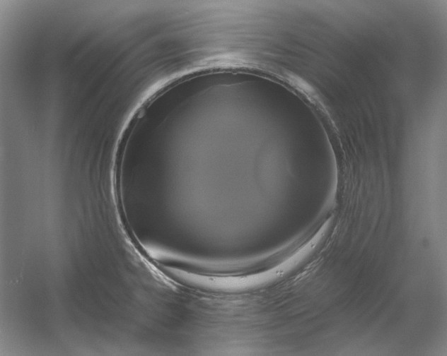 X0000054411334200508192021