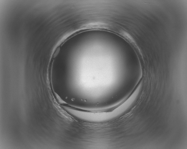 X0000054411336200508192021