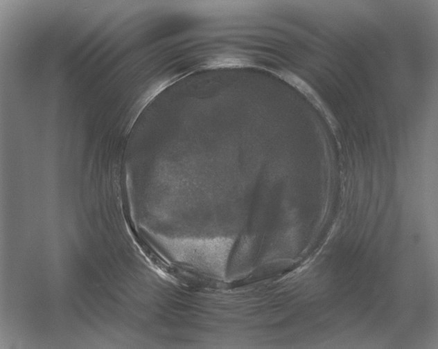 X0000054411337200508192021