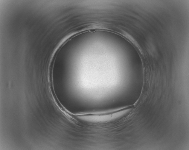 X0000054411339200508192021
