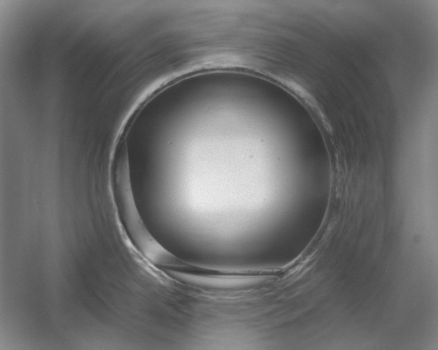 X0000054411342200508192021