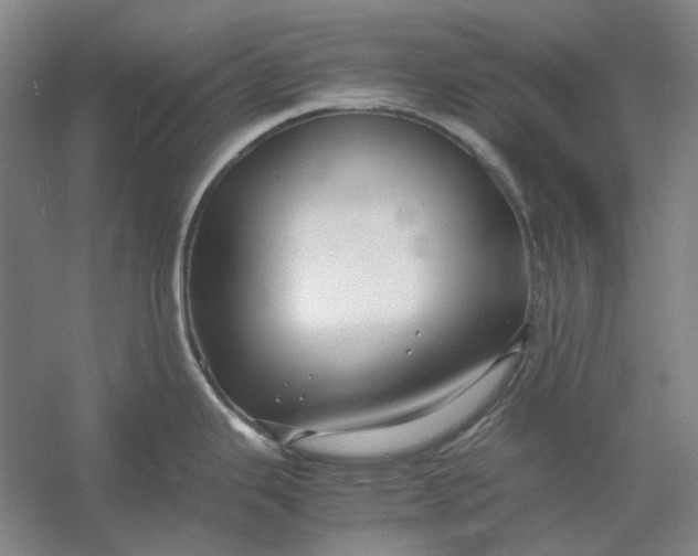 X0000054411343200508192021