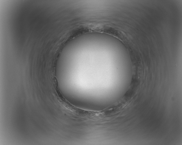X0000054411345200508192020