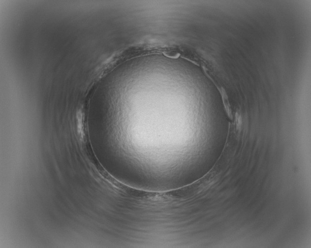 X0000054411348200508192020