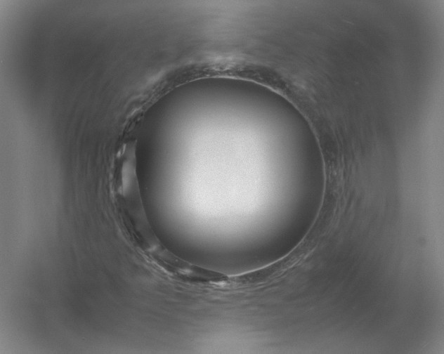 X0000054411349200508192020
