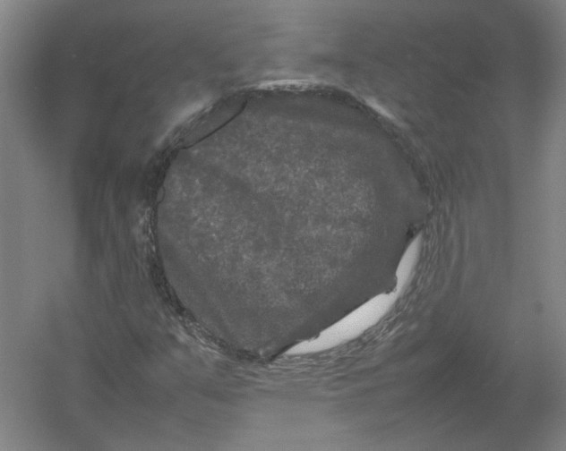 X0000054411351200508192020
