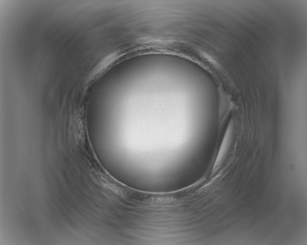 X0000054411354200508192020