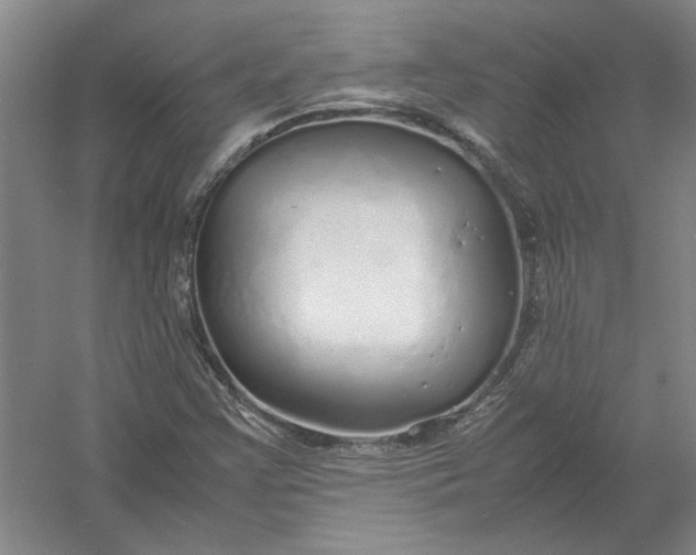 X0000054411355200508192020