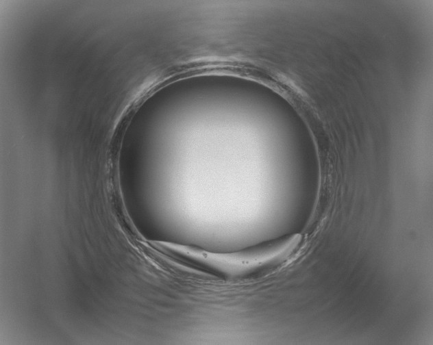 X0000054411357200508192020