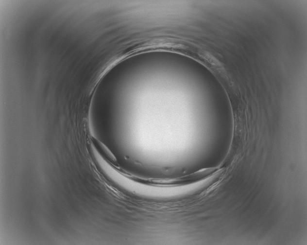 X0000054411369200508192020