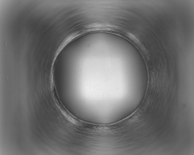X0000054411370200508192020