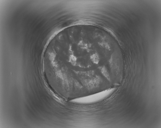 X0000054411371200508192020