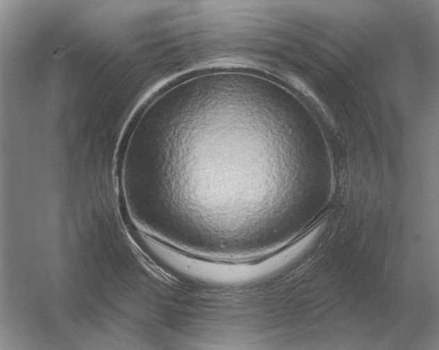 X0000054411372200508192020