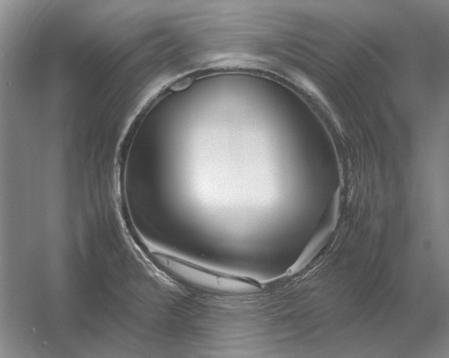 X0000054411376200508192020