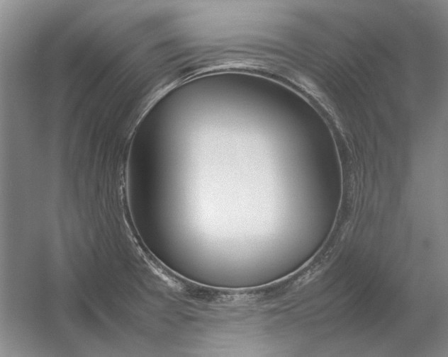 X0000054411377200508192020