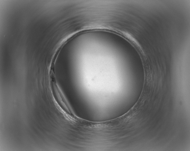 X0000054411380200508192020