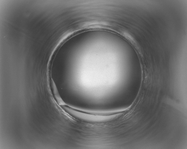 X0000054411384200508192020