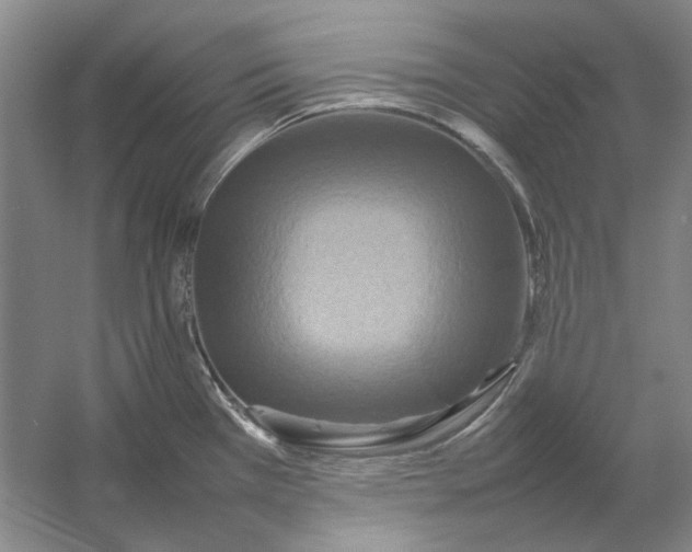 X0000054411385200508192020