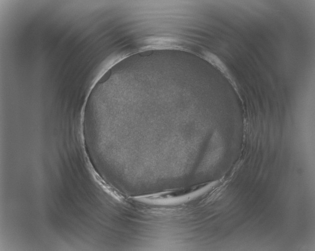 X0000054411386200508192020