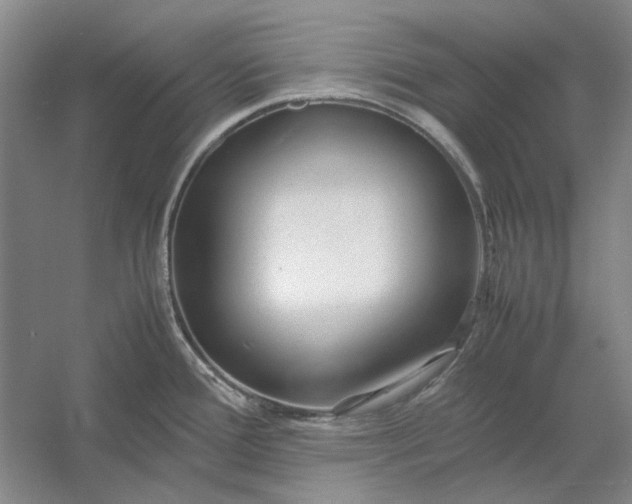 X0000054411388200508192020