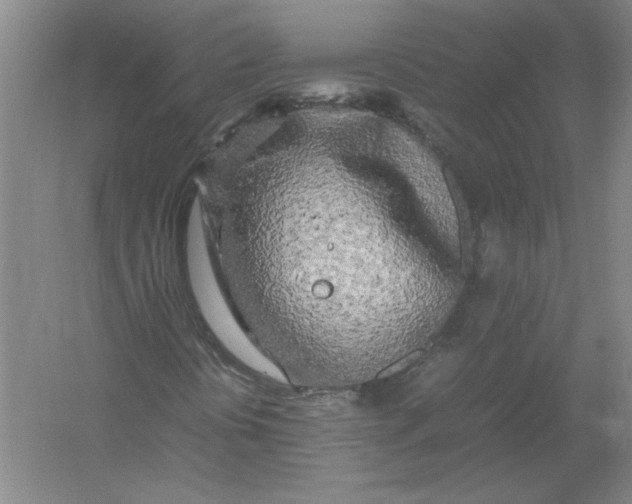X0000054411394200508192019
