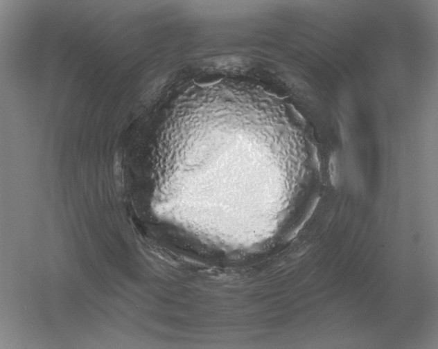 X0000054411395200508192019