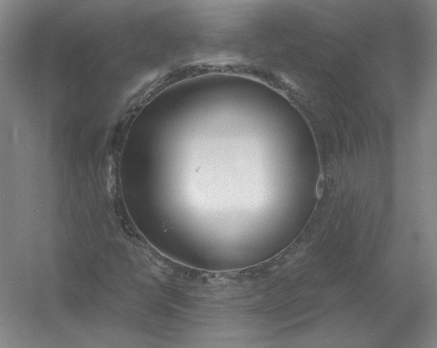 X0000054411398200508192019