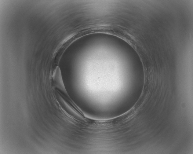 X0000054411402200508192019