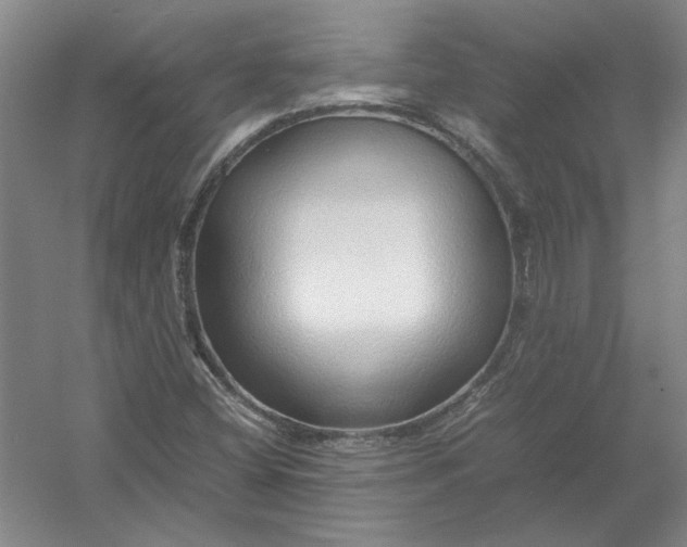 X0000054411404200508192019
