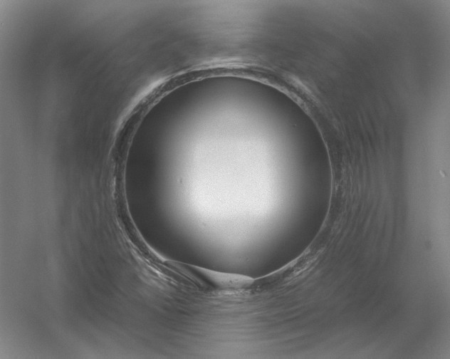 X0000054411406200508192019