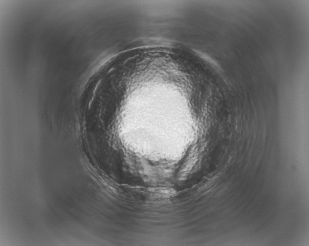 X0000054411407200508192019