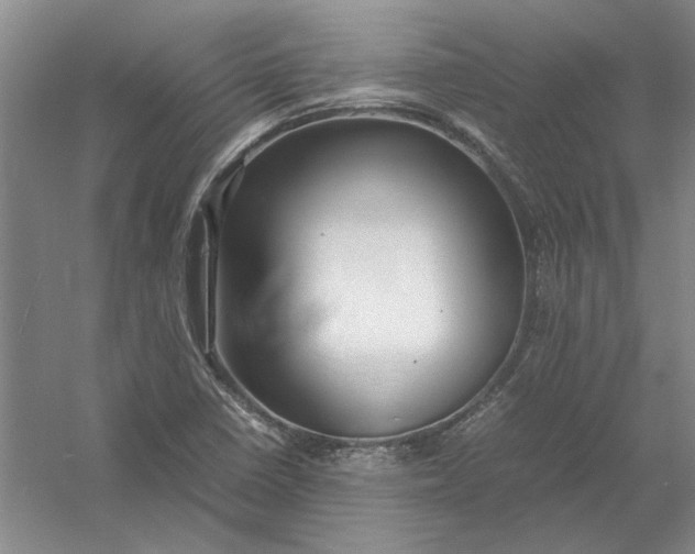 X0000054411410200508192019