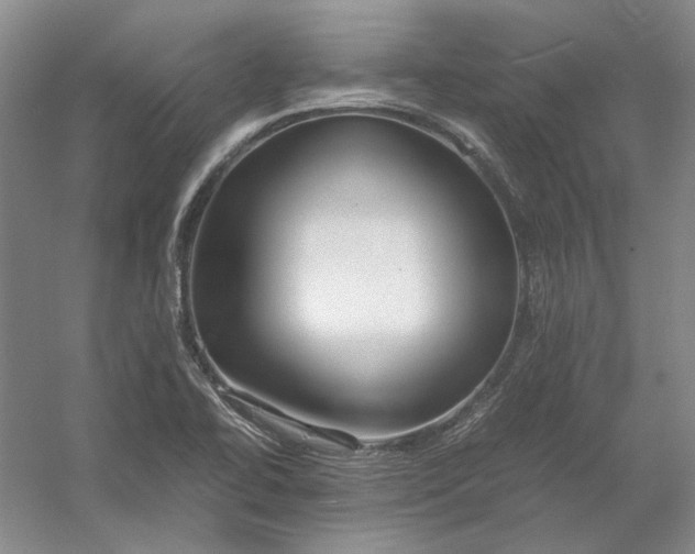 X0000054411414200508192019