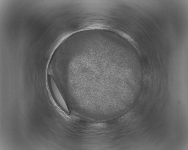 X0000054411423200508192019