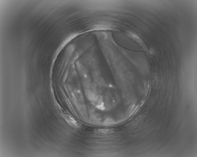 X0000054411427200508192019