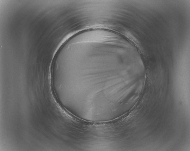 X0000054411428200508192019